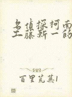 名侦探柯南之给工藤新一的挑战书