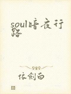 soul暗夜行路
