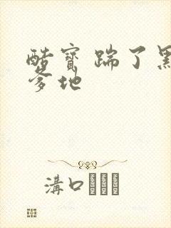 酷宝 踹了黑道爹地