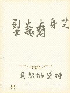 引火上身芝麻糖笔趣阁