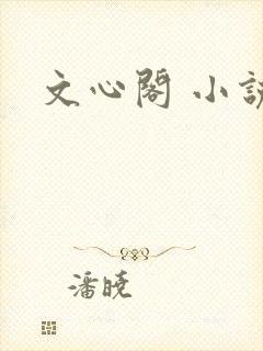 文心阁 小说