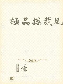 极品总裁风流录