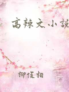 高辣文小说