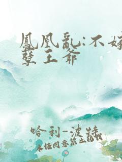 凤凰乱:不嫁妖孽王爷