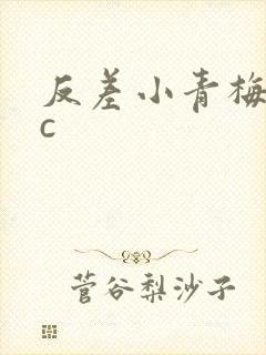 反差小青梅不经c