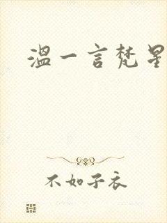 温一言梵星小说