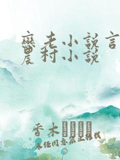 恋老小说言情网农村小说