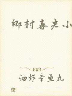 乡村春光小说
