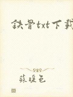 铁骨txt下载