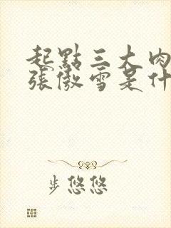 起点三大肉x器张傲雪是什么