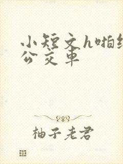 小短文h啪纯肉公交车