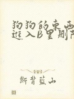 狗狗的东西直接进入B里删除