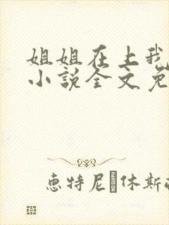 姐姐在上我在下小说全文免费阅读