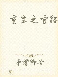 重生之官路情长