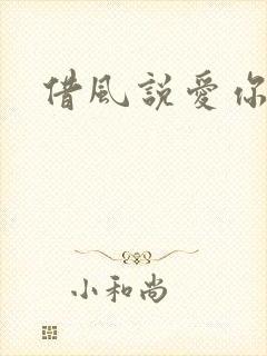借风说爱你