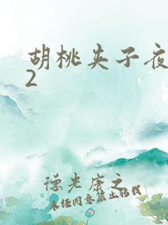 胡桃夹子夜未眠2