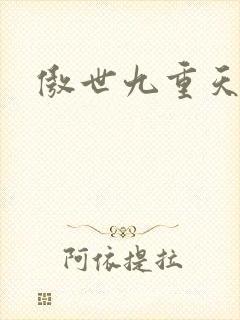 傲世九重天小说