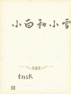 小白和小雪