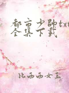 都市少帅txt全集下载