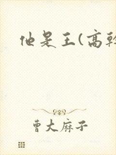 他是王(高干)
