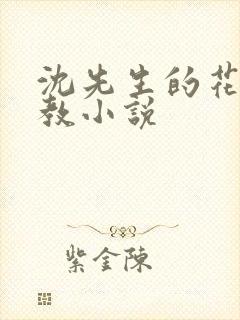 沈先生的花式调教小说