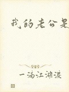 我的老公是魔王