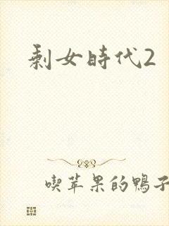 剩女时代2