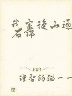 我家后山通仙界石锦