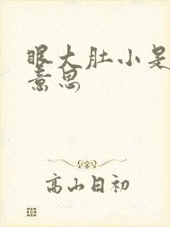 眼大肚小是什么意思