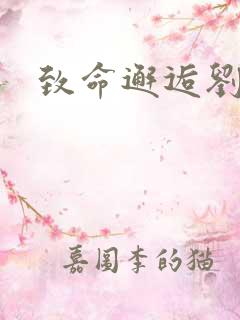 致命邂逅刘小寐