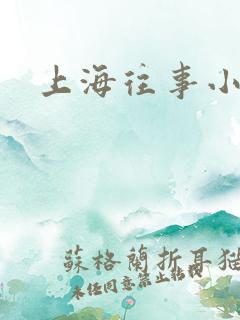 上海往事小说