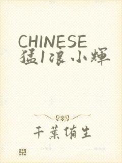 CHINESE猛1浪小辉