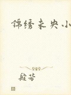 锦绣未央小说