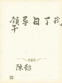 领导日了我一下午