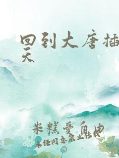 回到大唐插武则天