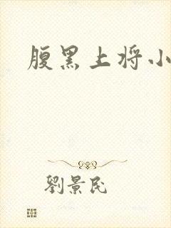 腹黑上将小小妻