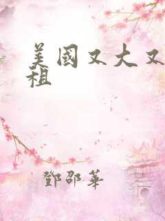 美国又大又长又租