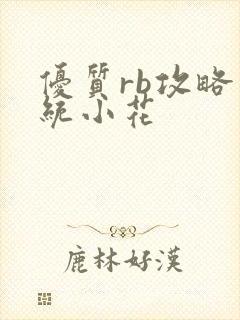 优质rb攻略系统小花