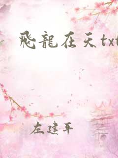 飞龙在天txt