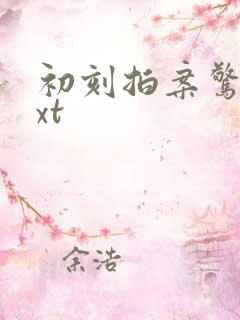 初刻拍案惊奇txt