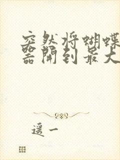 突然将蝴蝶遥控器开到最大