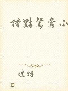 错点鸳鸯小说
