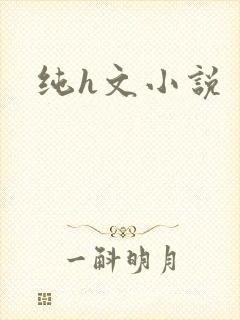 纯h文小说