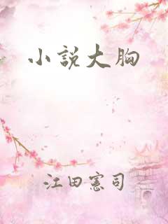 小说大胸