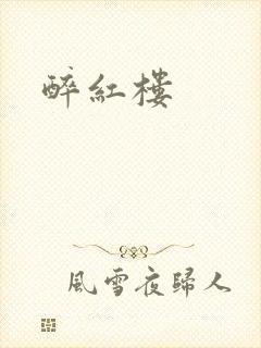 醉红楼