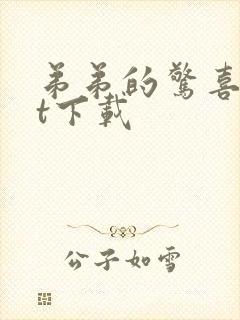 弟弟的惊喜txt下载