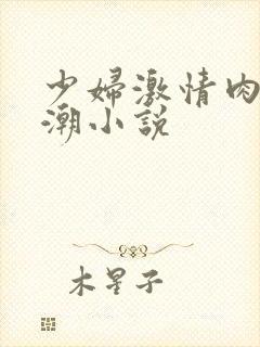 少妇激情肉欲高潮小说