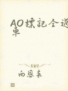 AO标记全过程车