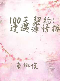 100天契约:遭遇薄情总裁