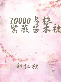 70000多株紫薇苗木被强毁